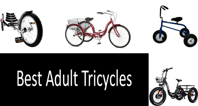 Adult-Sized Infant Trikes
